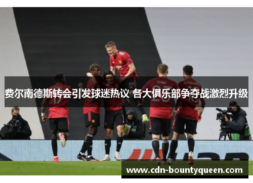 费尔南德斯转会引发球迷热议 各大俱乐部争夺战激烈升级