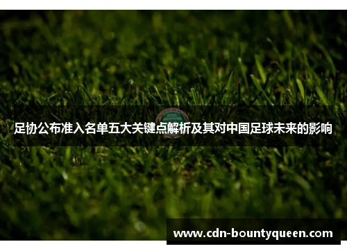 足协公布准入名单五大关键点解析及其对中国足球未来的影响