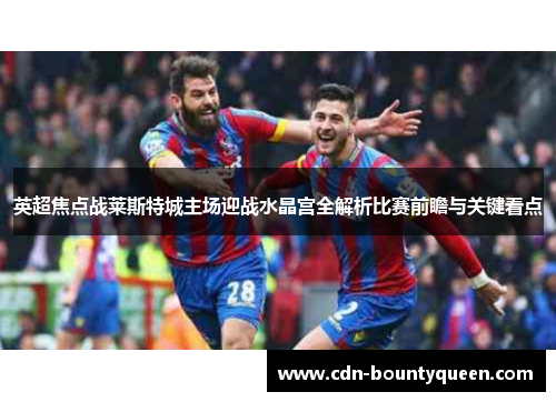 英超焦点战莱斯特城主场迎战水晶宫全解析比赛前瞻与关键看点 英超焦点战莱斯特城主场迎战水晶宫全解析比赛前瞻与关键看点