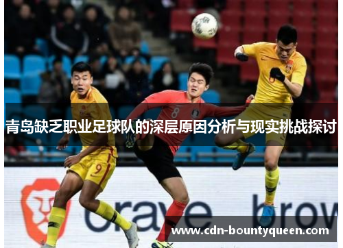 青岛缺乏职业足球队的深层原因分析与现实挑战探讨